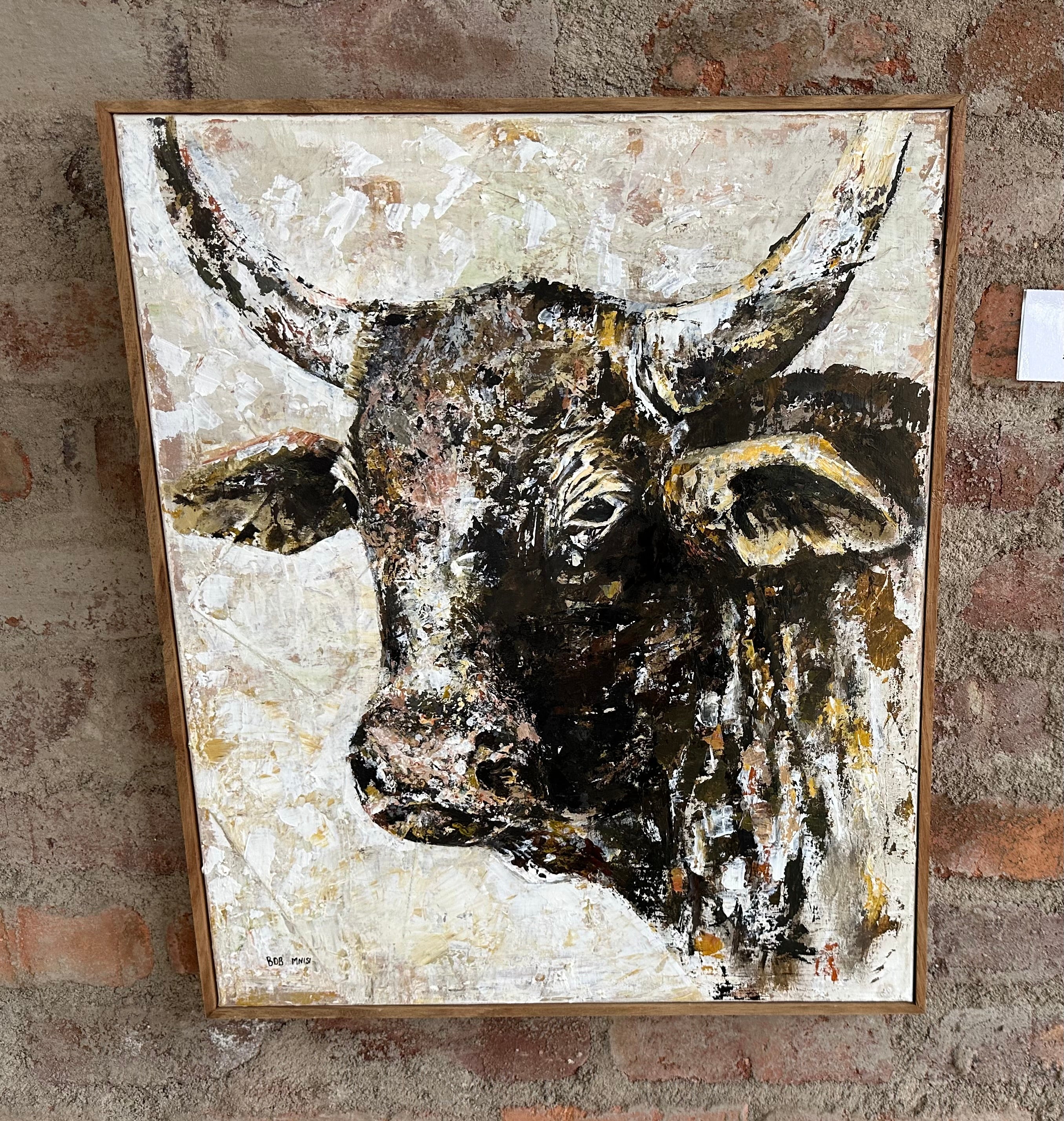 Wild Nguni