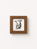 Miniatures – Framed Bob Mnisi Print