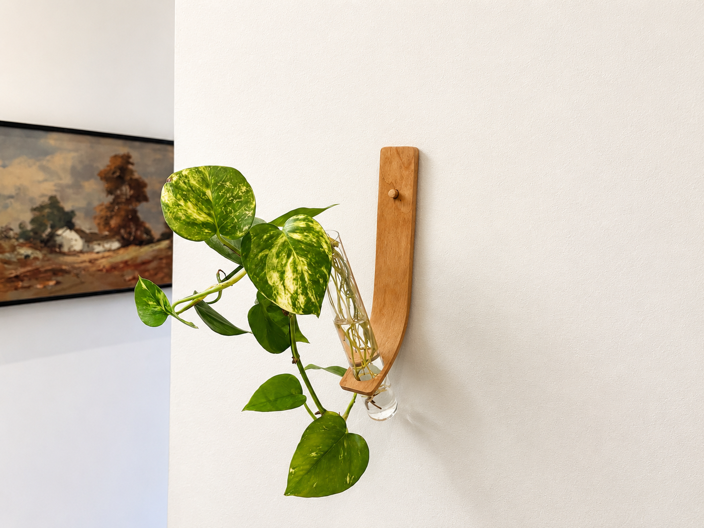 Bent Wood Propagation Station